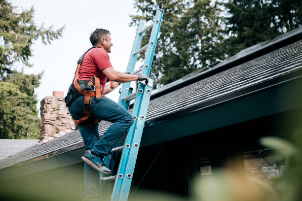 Best Roof Moss and Algae Removal  in Bridgeport, NE